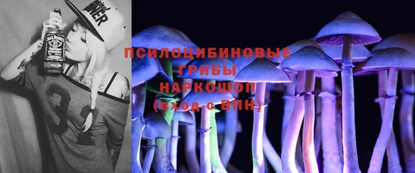 кокс Касимов