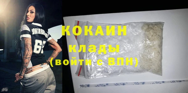 кокс Касимов