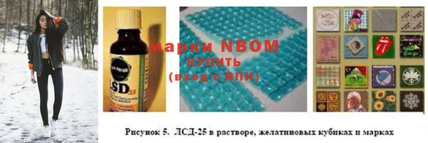 кокс Касимов