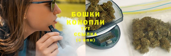 МДПВ Каменногорск