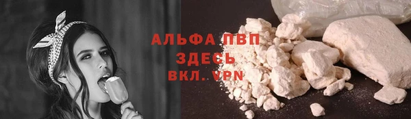 стафф Каменка