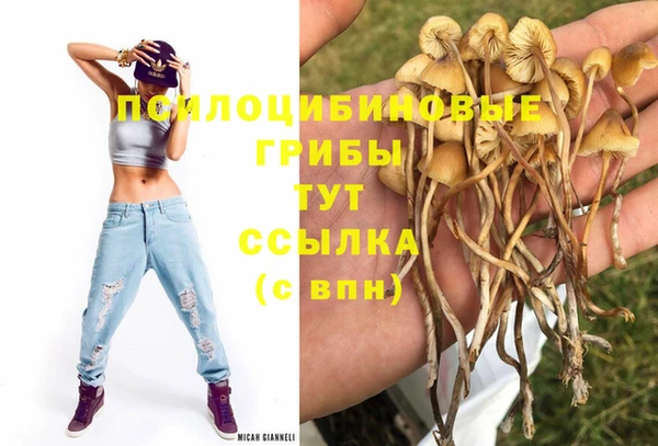 героин Карпинск