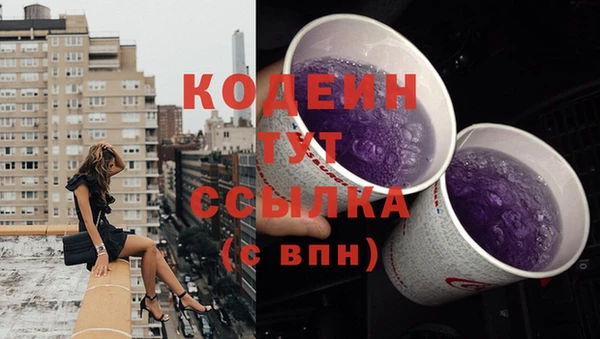 стафф Каменка
