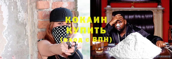 стафф Каменка