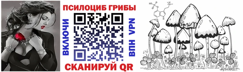 Псилоцибиновые грибы Psilocybe  Полысаево 