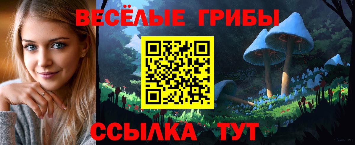 Галлюциногенные грибы мицелий Полысаево