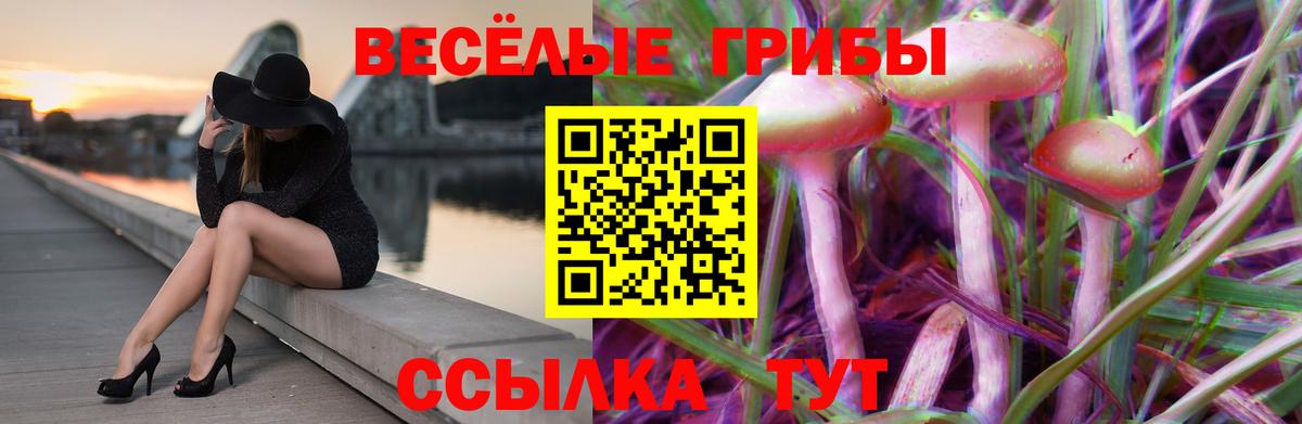 Псилоцибиновые грибы прущие грибы  Псилоцибиновые грибы Cubensis  Вход с VPN  дарнет шоп  Полысаево 