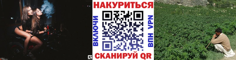 Конопля сатива где купить наркоту Полысаево